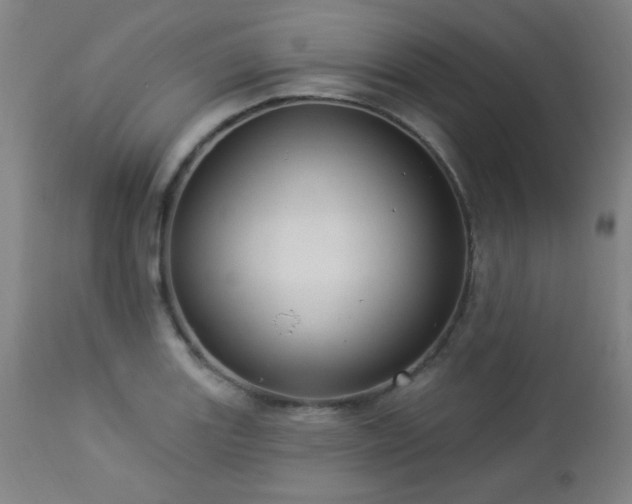 X0000112961131200908271110