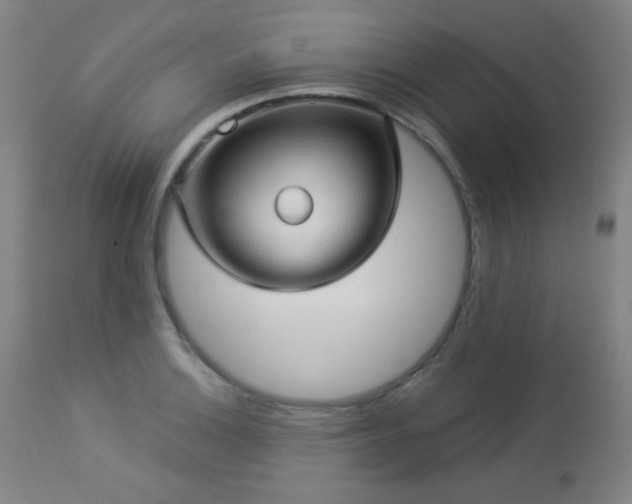 X0000112961132200908271110