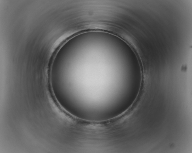 X0000112961133200908271110