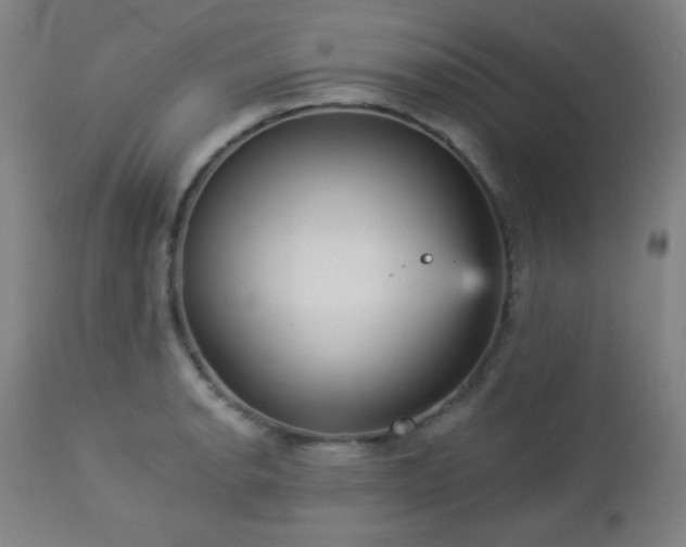 X0000112961134200908271110