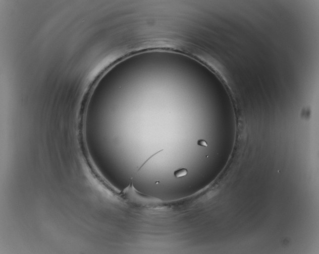 X0000112961135200908271110