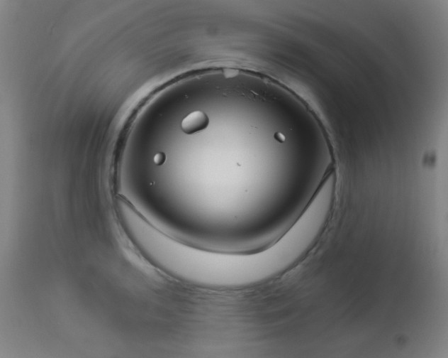 X0000112961136200908271110