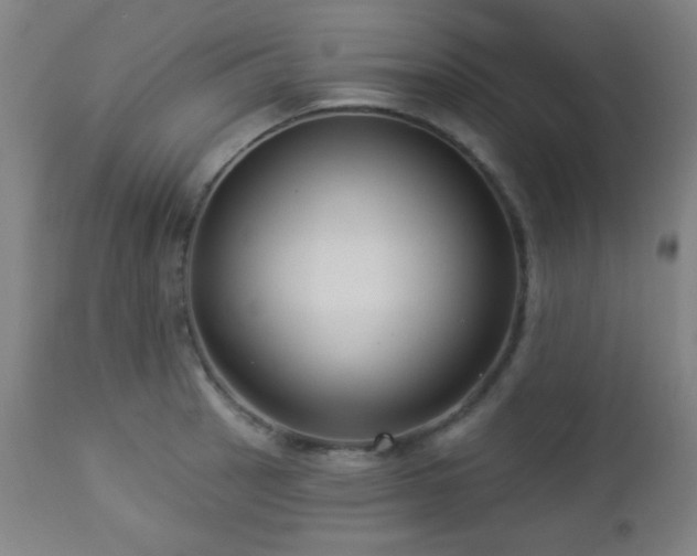 X0000112961137200908271110