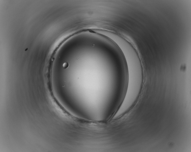 X0000112961138200908271110