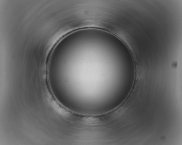 X0000112961140200908271110