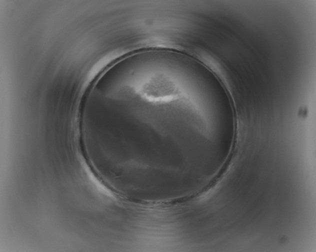 X0000112961141200908271110