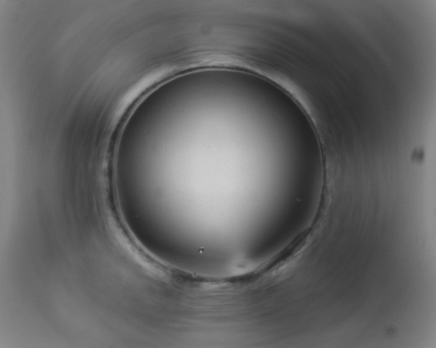 X0000112961142200908271110