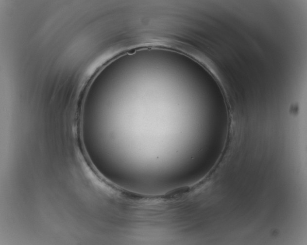 X0000112961143200908271110