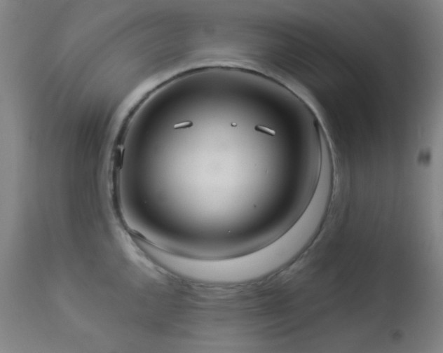 X0000112961144200908271110