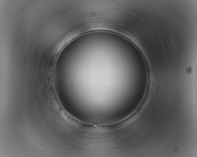 X0000112961145200908271110