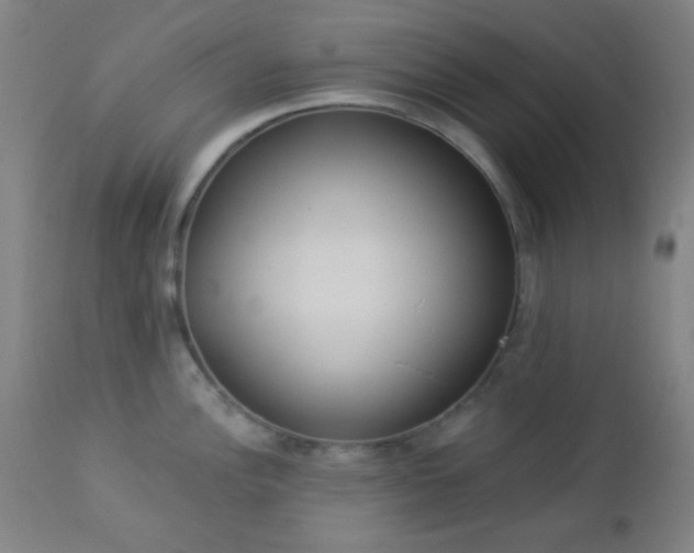 X0000112961148200908271110