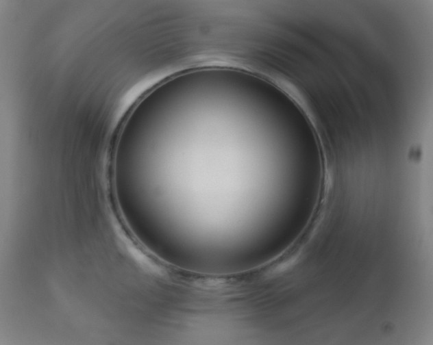 X0000112961149200908271110