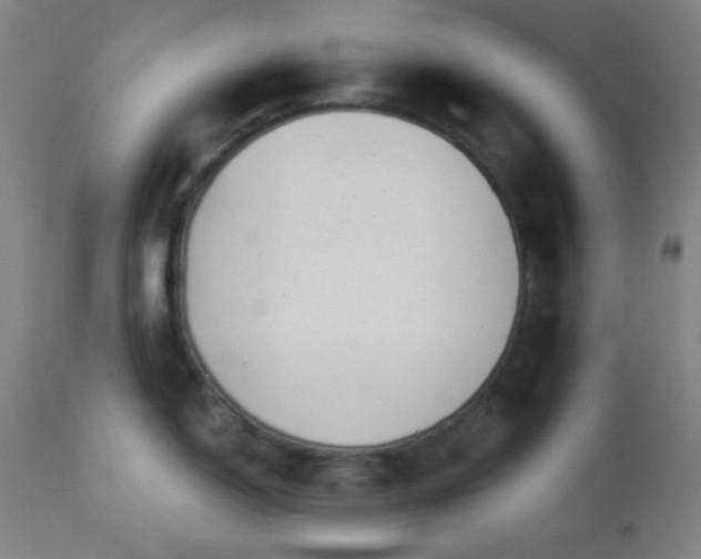 X0000112961150200908271110