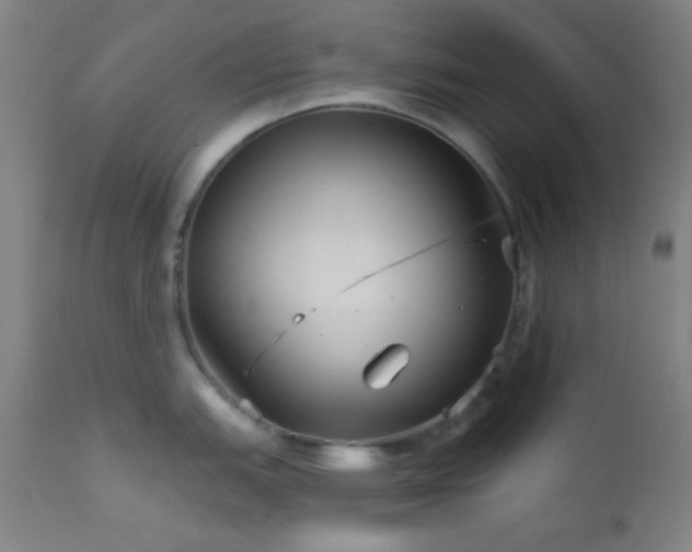 X0000112961151200908271110