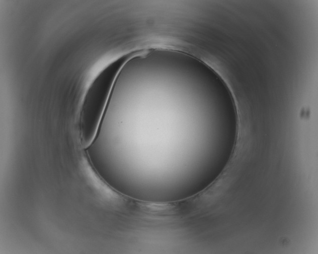 X0000112961152200908271110