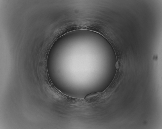 X0000112961153200908271109