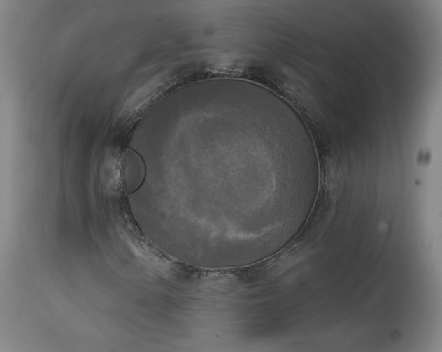 X0000112961154200908271109