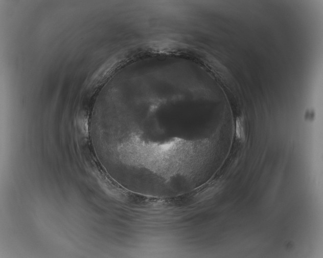 X0000112961155200908271109