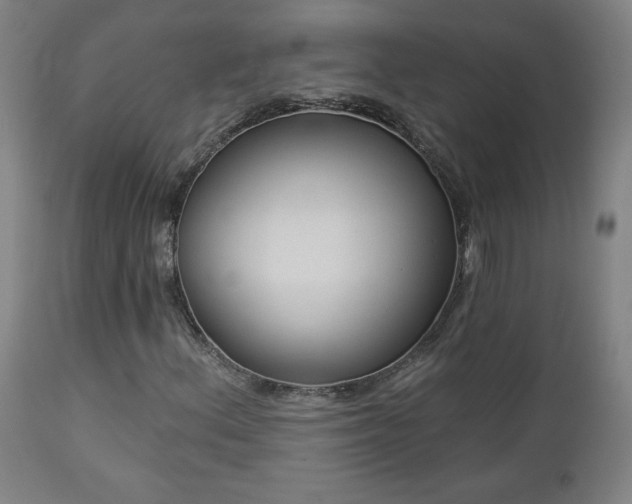 X0000112961156200908271109