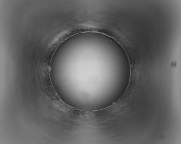 X0000112961157200908271109