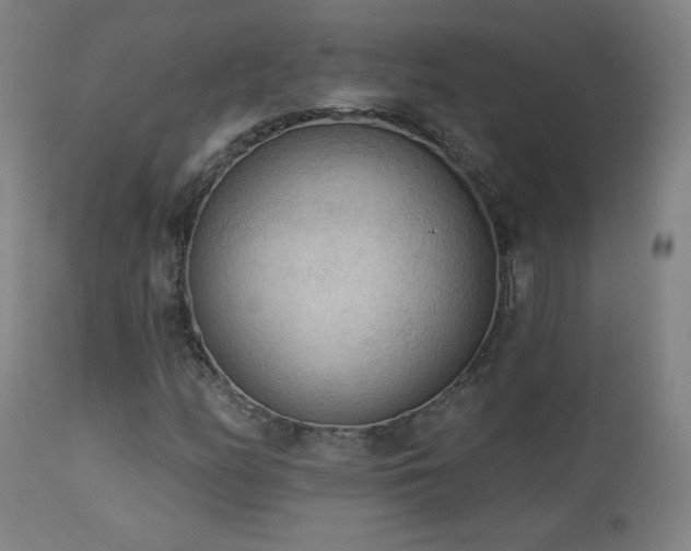 X0000112961158200908271109