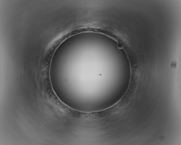 X0000112961159200908271109