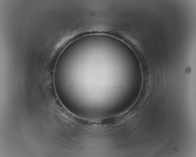 X0000112961160200908271109