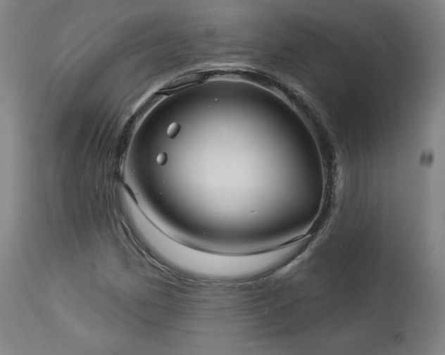 X0000112961162200908271109