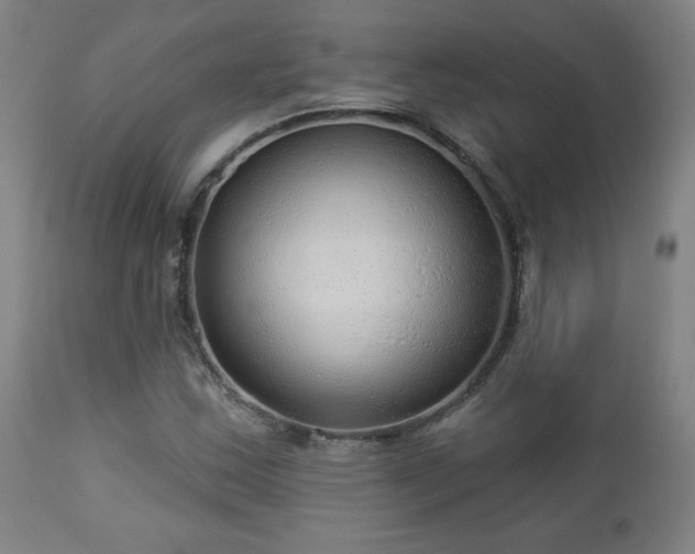 X0000112961163200908271109