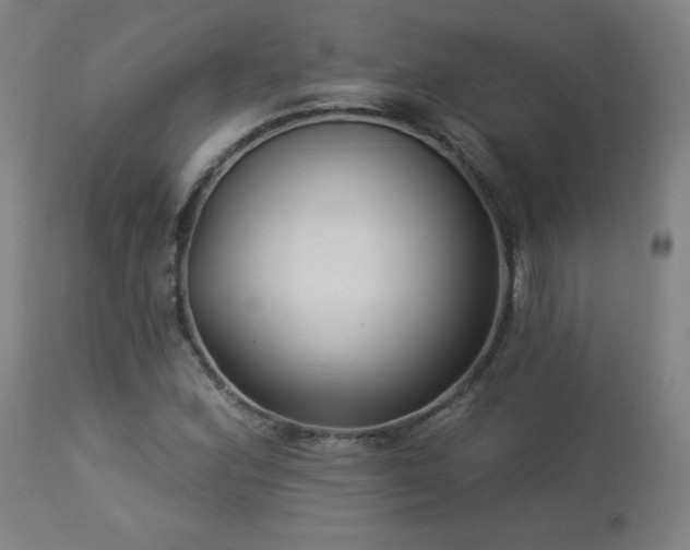 X0000112961164200908271109