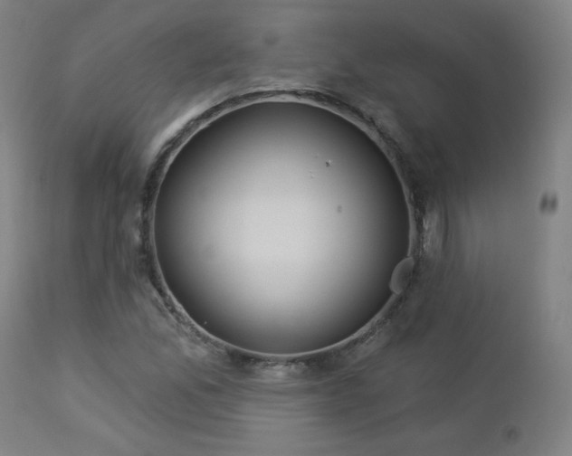 X0000112961165200908271109