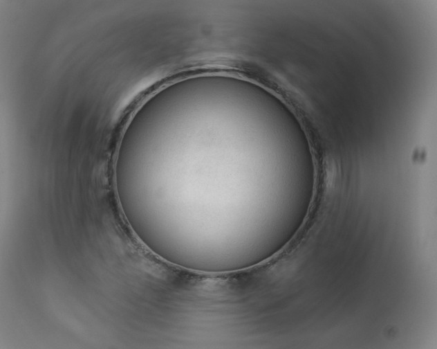 X0000112961166200908271109