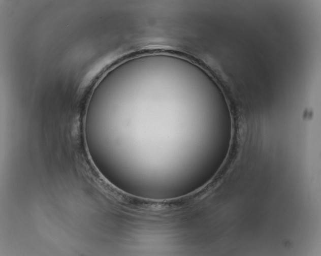 X0000112961167200908271109