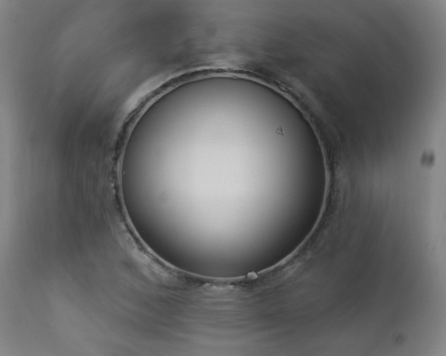 X0000112961168200908271109