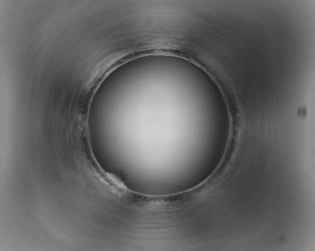 X0000112961169200908271109