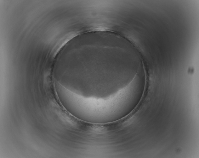 X0000112961170200908271109