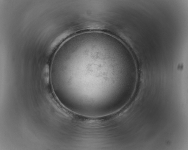 X0000112961171200908271109