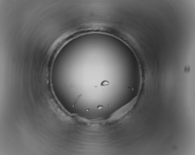 X0000112961172200908271109