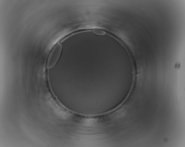 X0000112961173200908271109