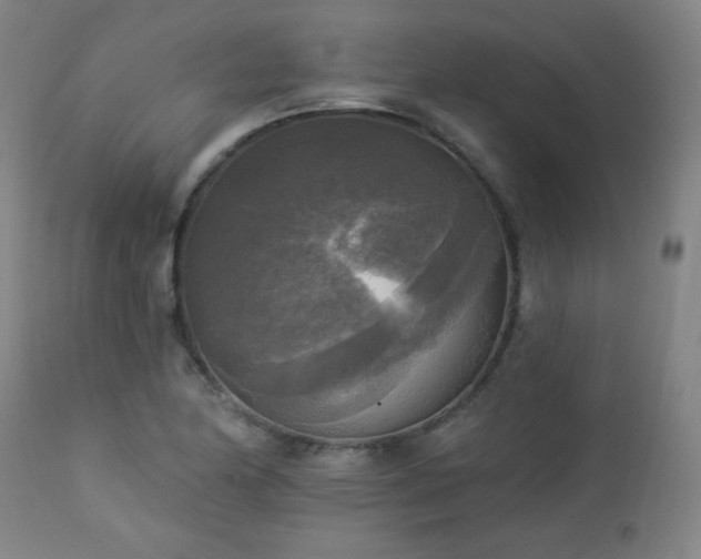 X0000112961174200908271109