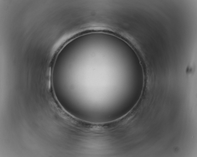 X0000112961175200908271109