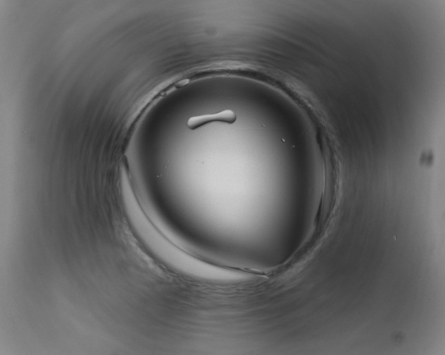 X0000112961177200908271109