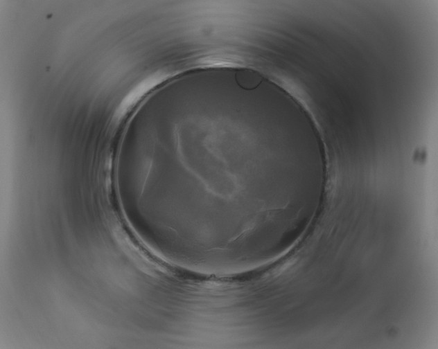 X0000112961179200908271109