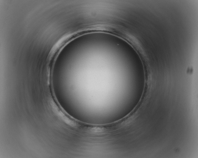 X0000112961180200908271109