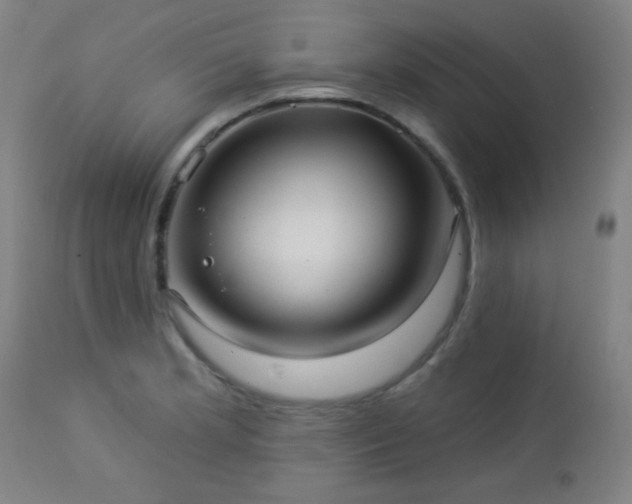 X0000112961181200908271109