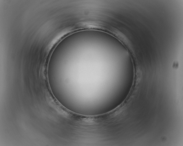 X0000112961182200908271109