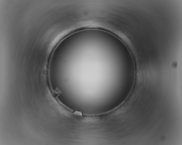 X0000112961183200908271109