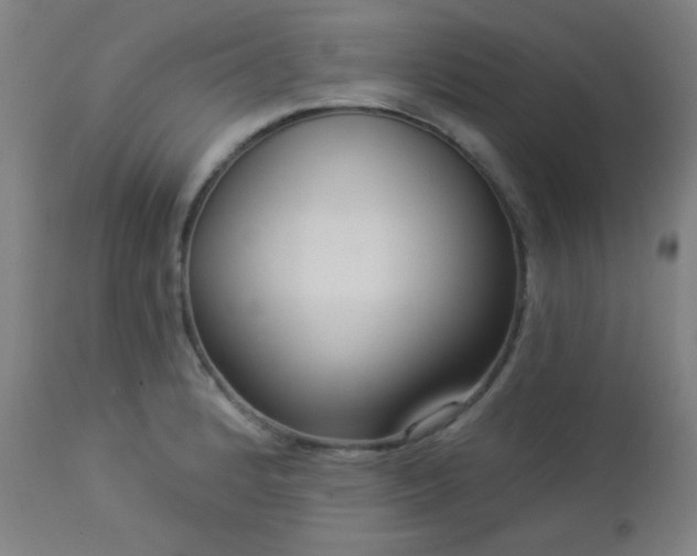 X0000112961184200908271109