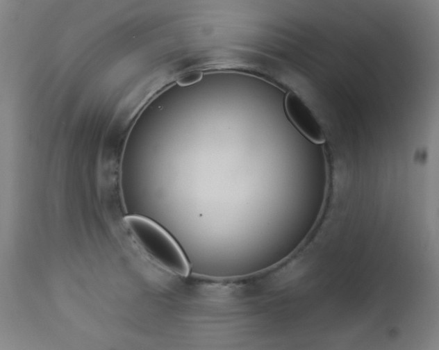 X0000112961185200908271109