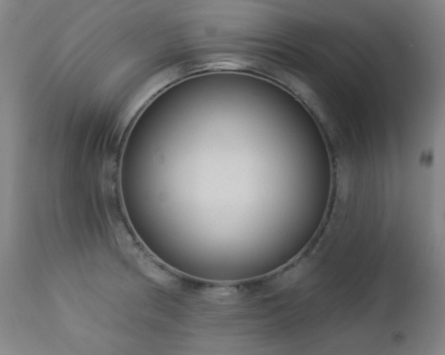 X0000112961186200908271109